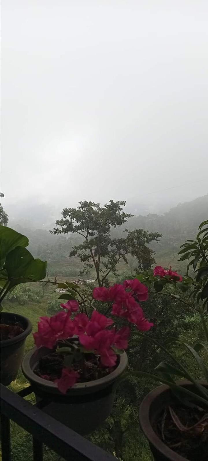 Kandy Ivy Mountain View Resort Luaran gambar