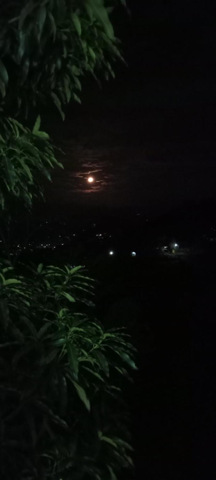 Kandy Ivy Mountain View Resort Bilik gambar